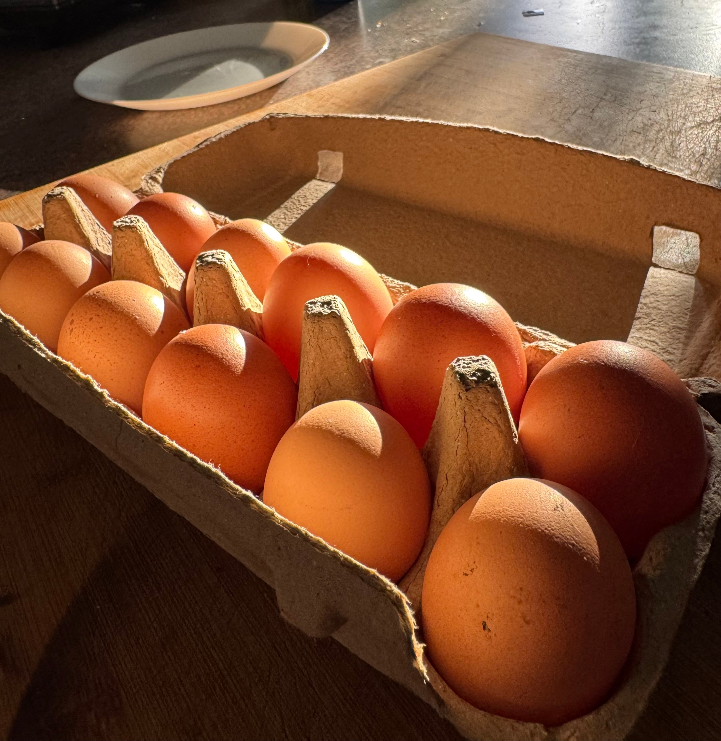 Farm Fresh Free Range Eggs (1 Dozen) | Tanada Farm