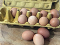 Farm Fresh Free Range Eggs (1 Dozen) | Tanada Farm
